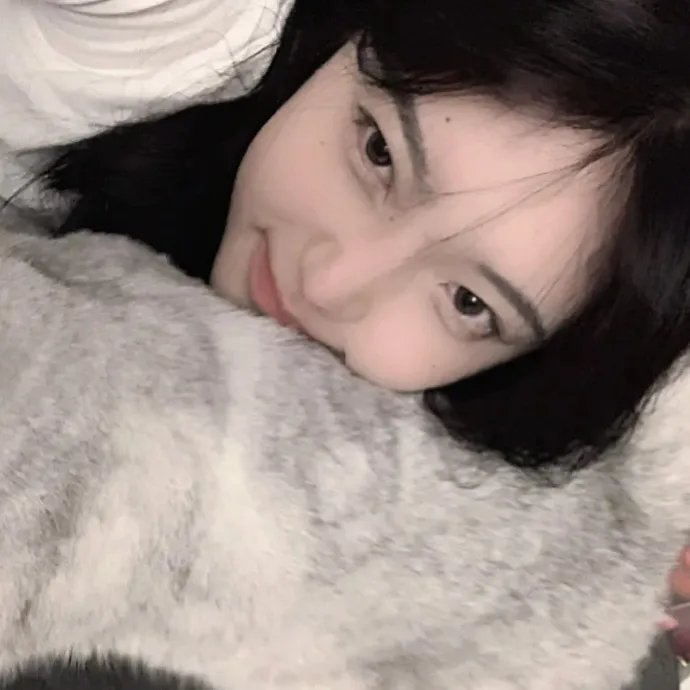 鸡毛梦想
